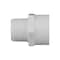 Charlotte Pipe And Foundry Charlotte Pipe Schedule 40 3/4 in. Slip X 3/4 in. D MPT PVC Pipe Adapter 1 pk PVC 02109 0800 - alternate 3